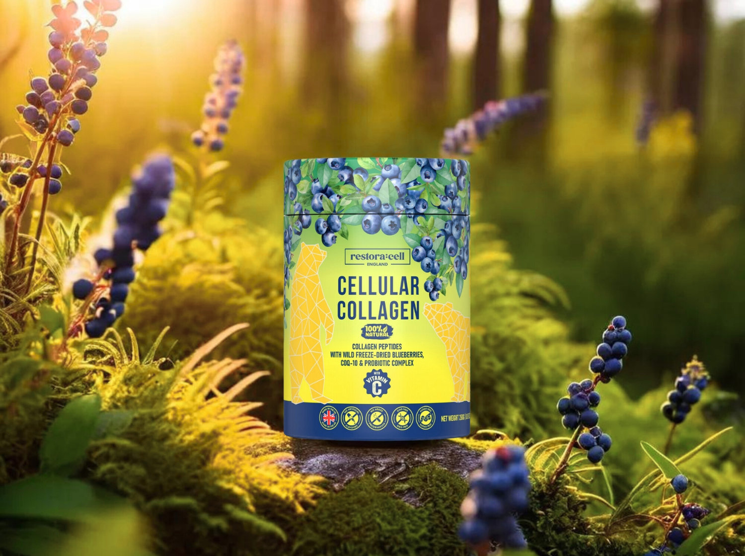 Restora:cell Cellular Collagen powder in a lush forest with wild blueberries, featuring hydrolyzed collagen peptides, CoQ10, probiotics, and Vitamin C for skin elasticity, joint support, and anti-aging wellness.