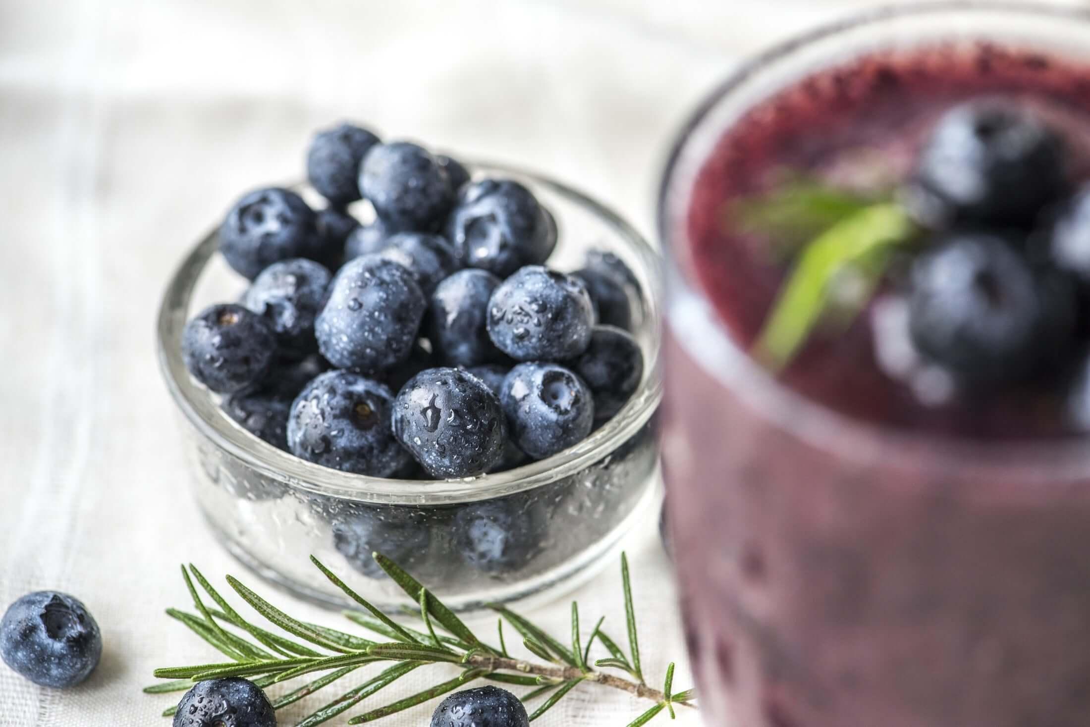 Restorative Blueberry Smoothie - restora:cell