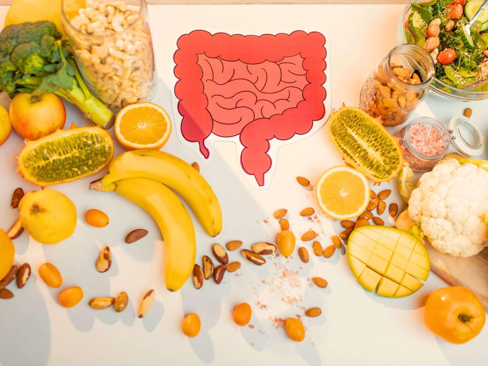 The Importance of Gut Health and How Collagen Can Support It - restora:cell