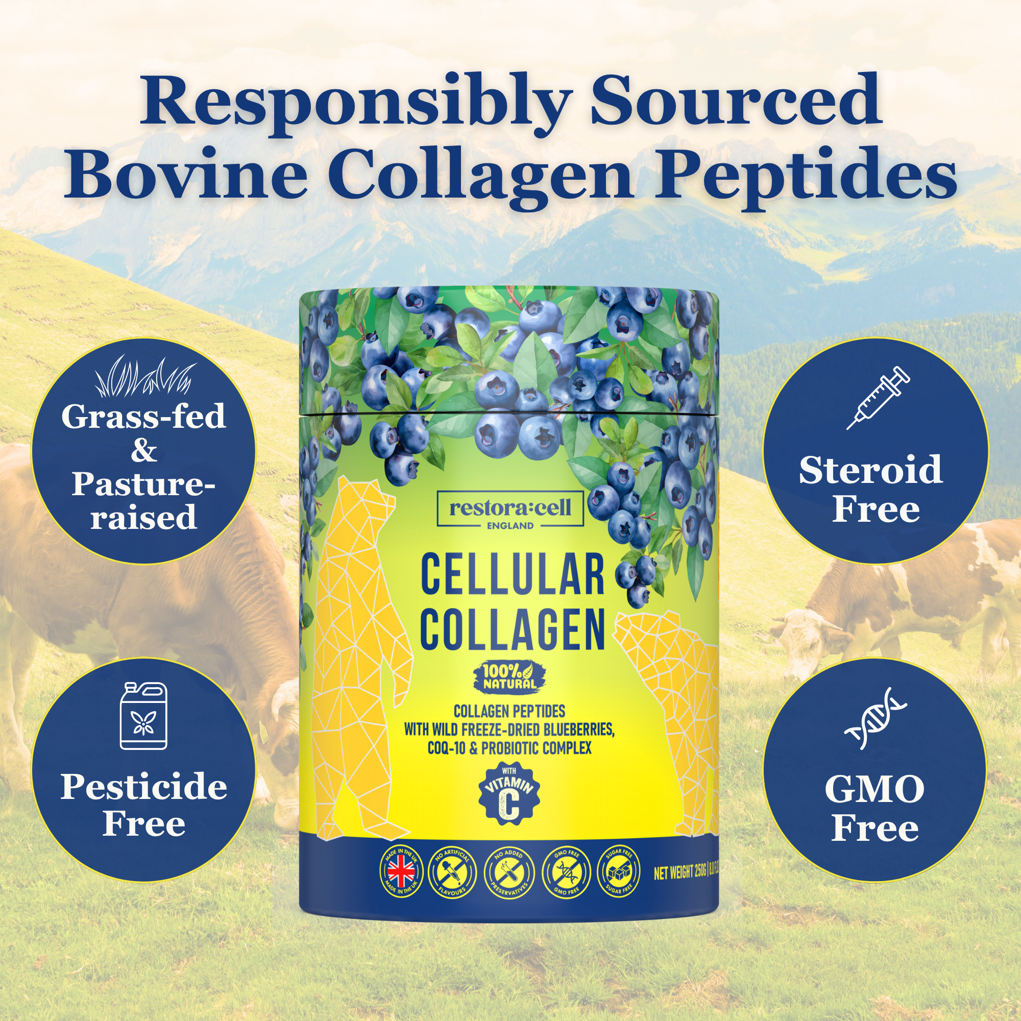 Cellular Collagen